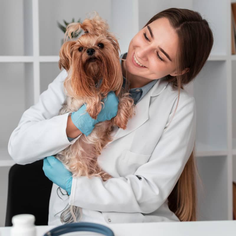 Seguros para personas y familias. Seguro de gastos médicos para mascotas.